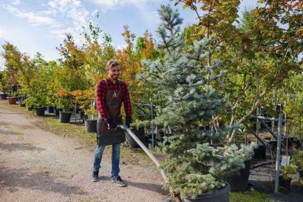 Best Lawn Maintenance Plans  in Matamoras, PA